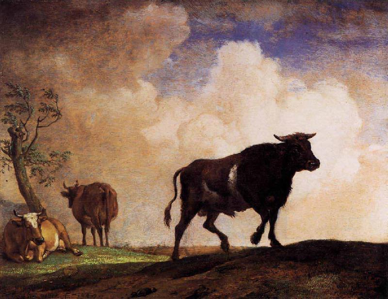 paulus potter The Bull